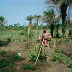 Opens popup gallery with A farmer stands in his field. Masethele, Bombali District, Sierra Leone.