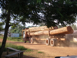 Opens popup gallery with A lumber truck roars through a village, Rivercess County, Liberia. 