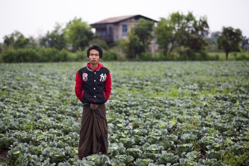 Freedoms and Threats: untangling land rights in rapidly-changing Burma