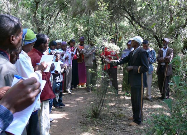 MELCA and community members lead an environmental education session in the Sheka forest. © MELCA Ethiopia