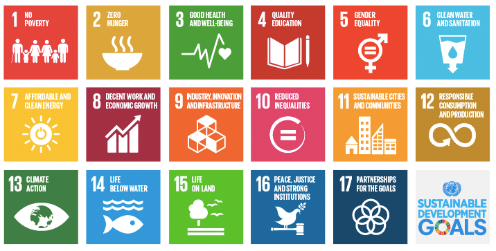 SDG icons