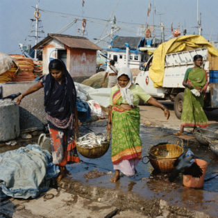 Opens popup gallery with Women carry a basket of fish for salting on the Tadri jetty, which is located on the Aghanashini river estuary.