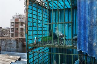 Opens popup gallery with Rooftops of Muslim Camp, Dhaka.