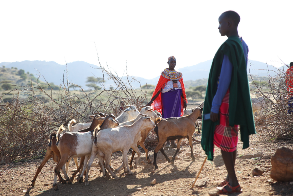 New Carbon Market Rules Recognize Community Rights