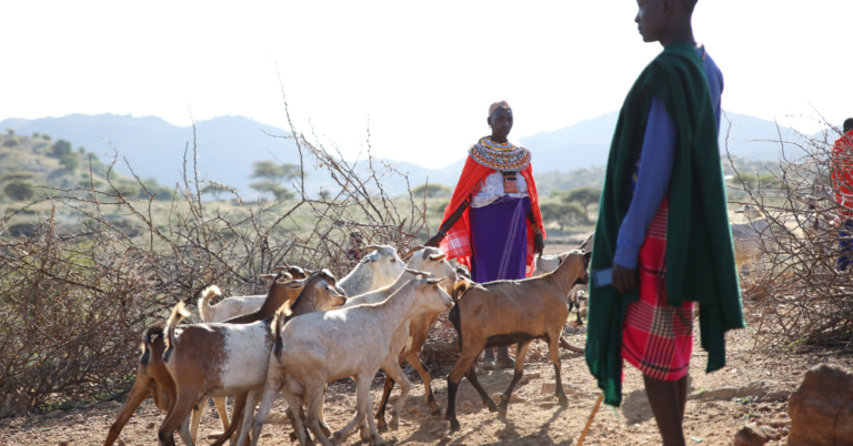 Link to New Carbon Market Rules Recognize Community Rights